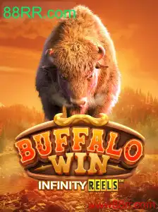 Desvendando BuffaloWin: Um Mergulho em Sua Estrutura e Regras